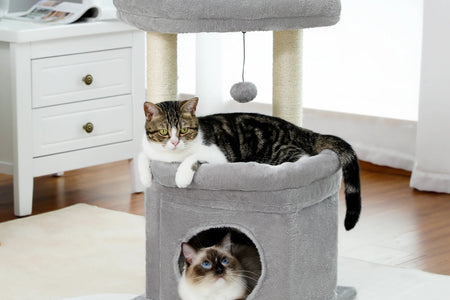 Cat Tree Condo 27" Cat Tower with Large Top Perch and Scratching Posts for Kittens and Medium Cats, Gray